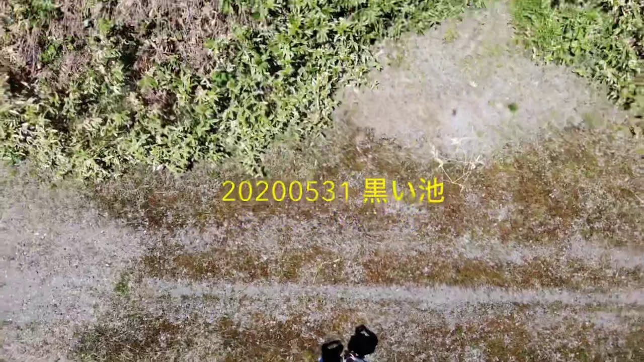 北海道Ｂスポット 20200531 空から日高町黒い池