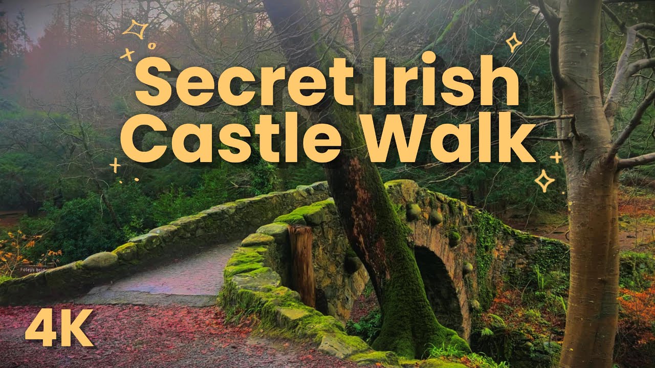 Misty & Moody Forest Stroll🕯️🌲 | Secret Castle Ruins of Tollymore, Ireland | 4K Nature Ambience