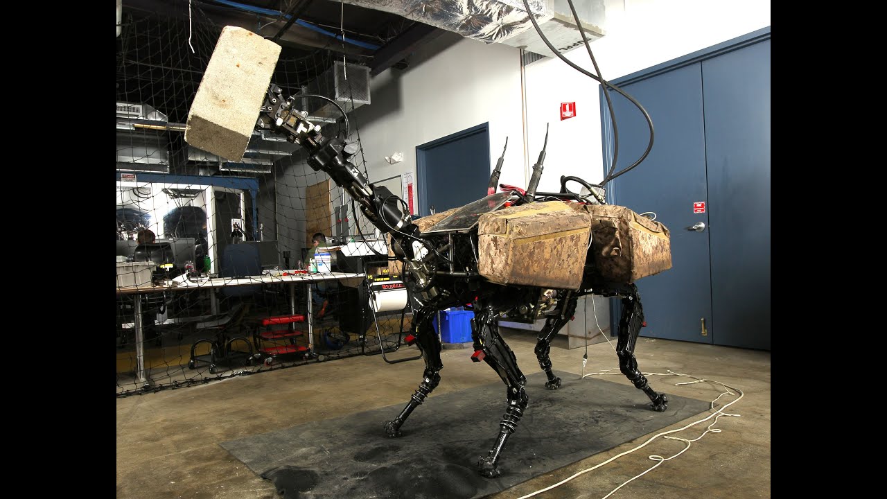 Dynamic Robot Manipulation