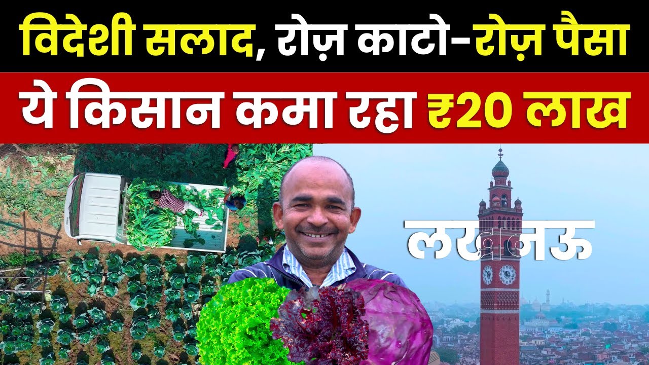 2.5 एकड़ से 20 लाख💰🤩 विदेशी सब्ज़ियों की खेती और मार्केटिंग Lucknow के vegetable Farmer से जानिए 🌱