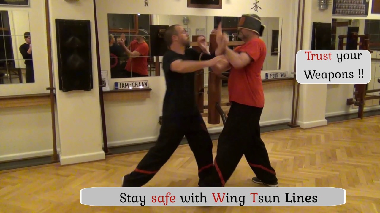 WT DNA WT Lines - Wing Tsun Copenhagen