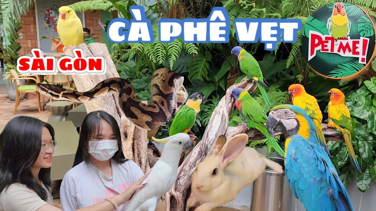 Khám phá quán cà phê vẹt PET ME tại Thủ Đức - TPHCM