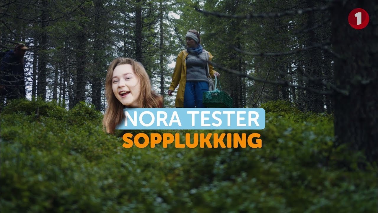 Ep. 2. Mat fra naturen: På sopptur med kokken Lars