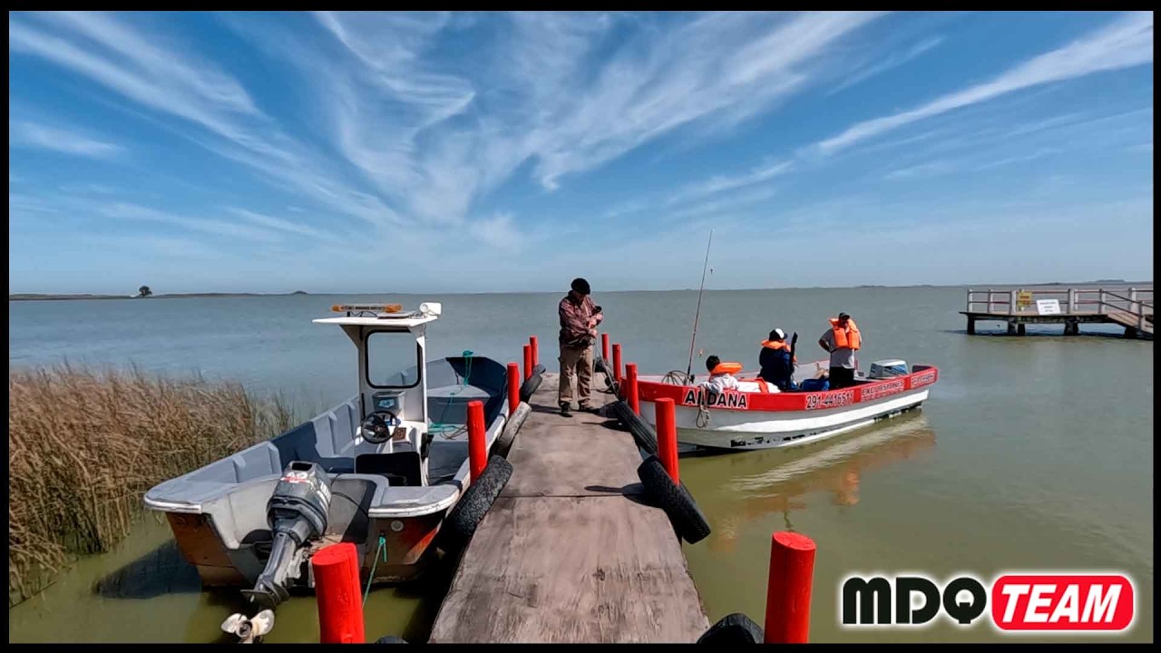 ENORMES PECES ATACAN NUESTRAS LINEAS EN SUPERFICIE