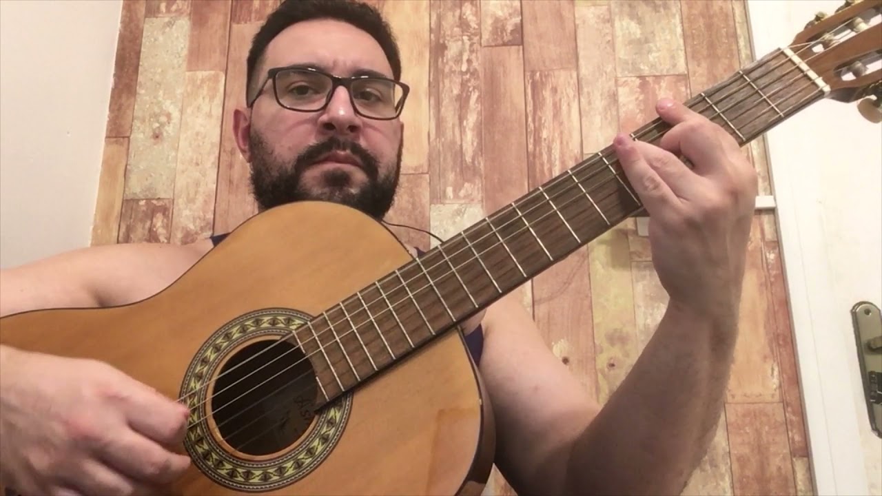 Arlindo Cruz - O Show Tem que Continuar - Violão (Willy Seifert) #brazilianmusic #fundodequintal