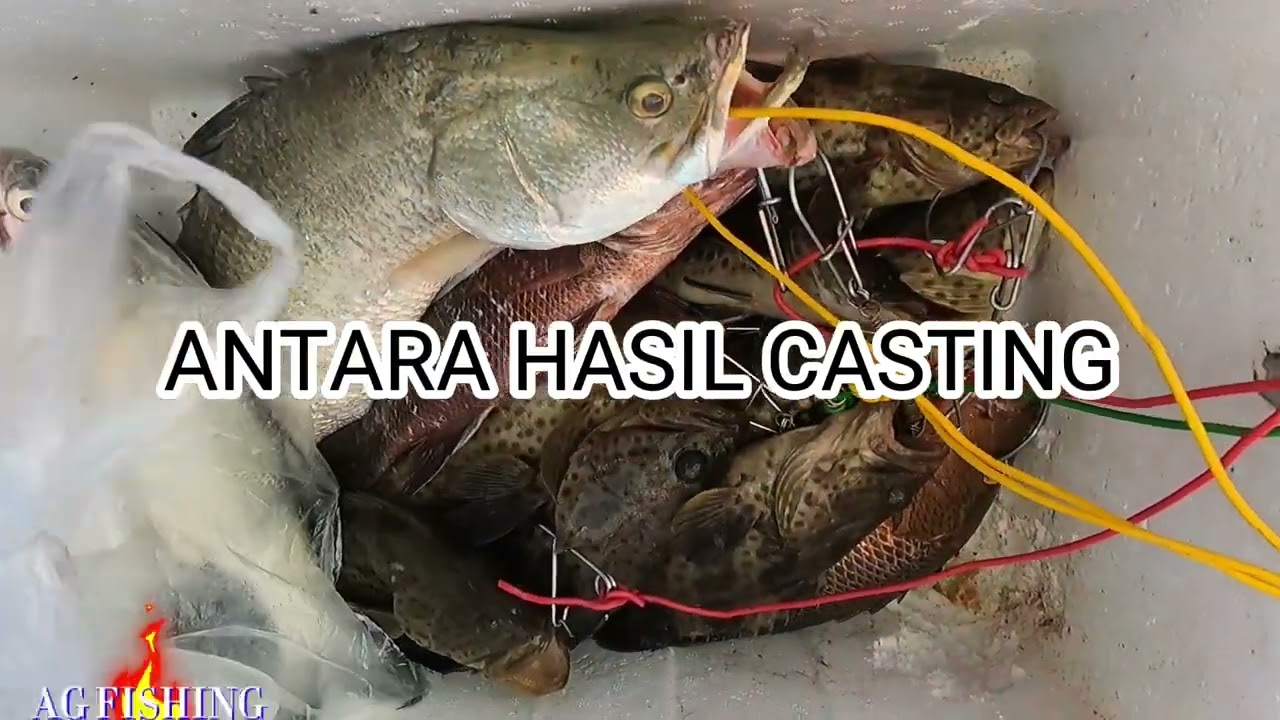 LAUK RAYA..CASTING KERAPU MALAM..UP HASIL JER LAH GUYS.