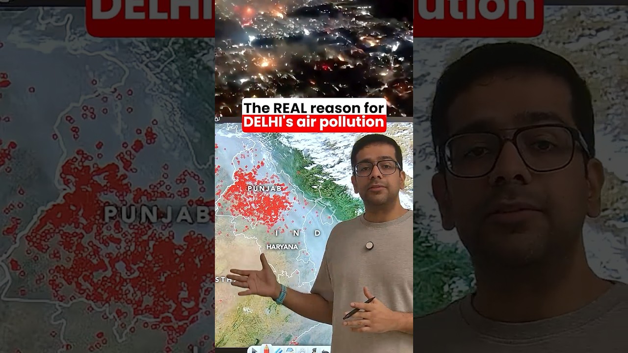 The real reason for Delhi's air pollution | Why is Delhi so polluted?