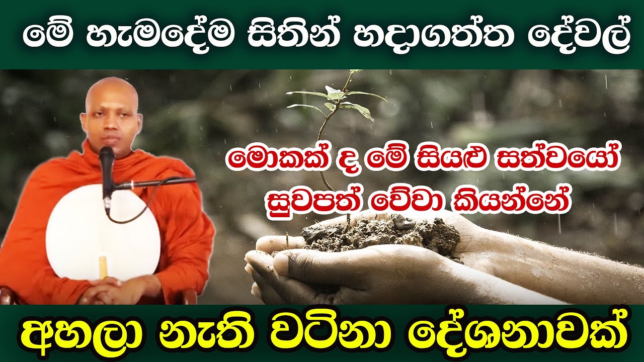 සියළු සත්වයෝ සුවපත් වේවා කිව්වට මේ දේ ගැන ඔබ ටිකක්වත් හිතුවද | hasalaka seelawimala himi bana | 2024