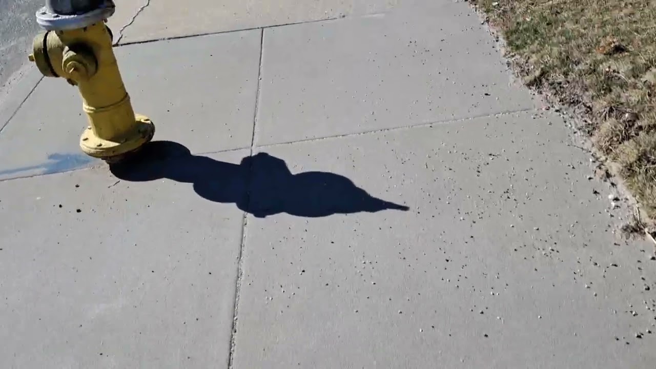 Bonito día hoy no está frillo