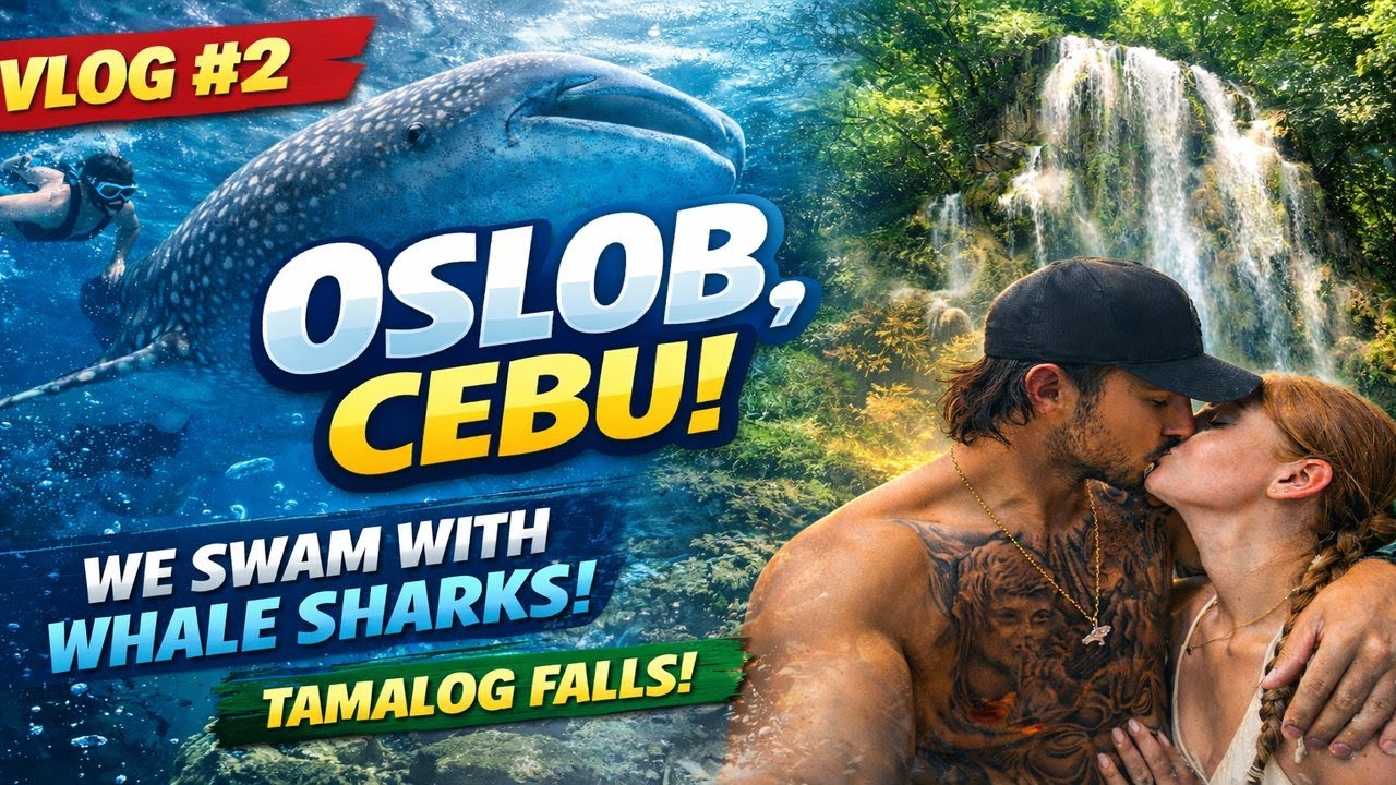 VLOG #2 - WE SWAM WITH WHALE SHARKS!