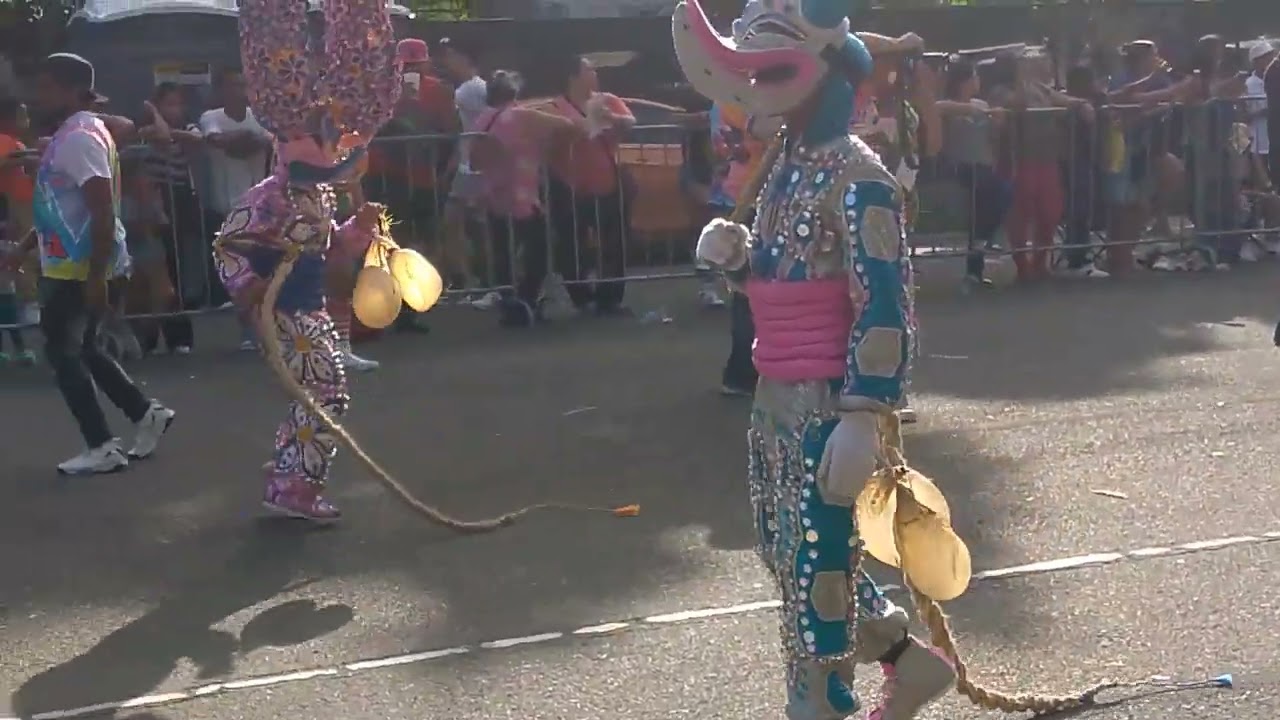 CARNAVAL 2025 SANTIAGO DE LOS CABALLEROS.
