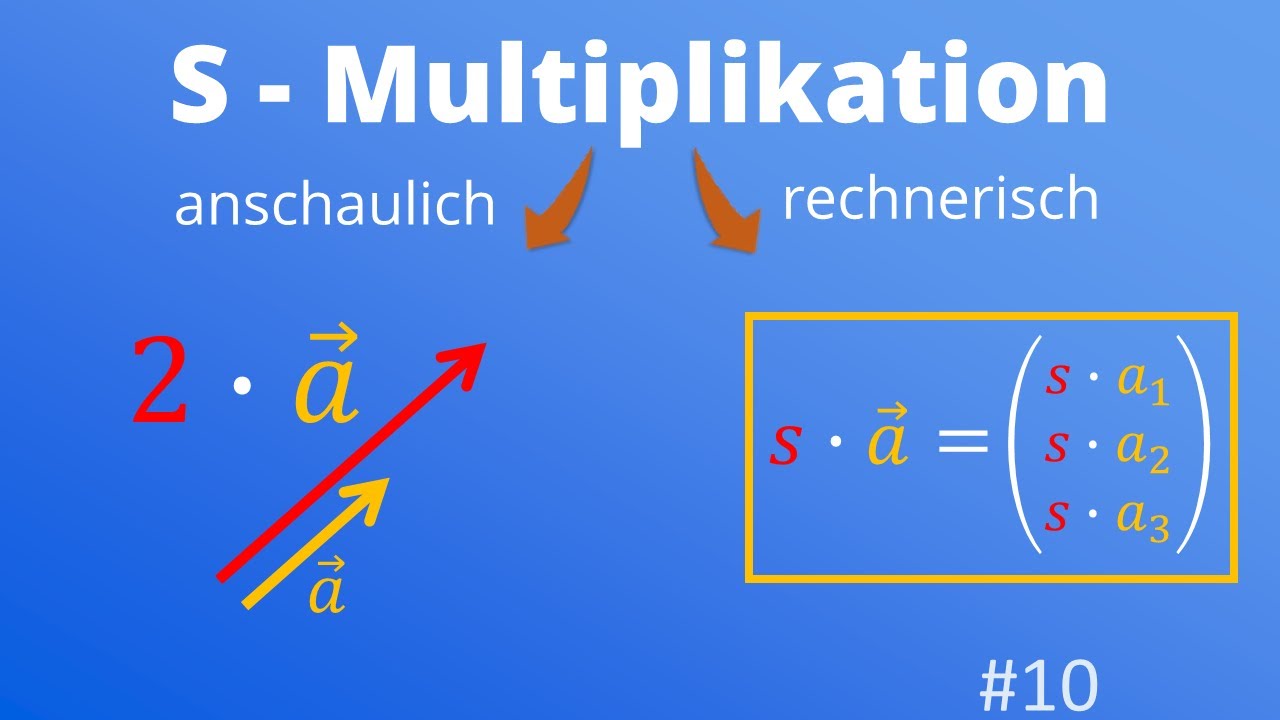 S-Multiplikation bei Vektoren - Anschaulich und rechnerisch | #10