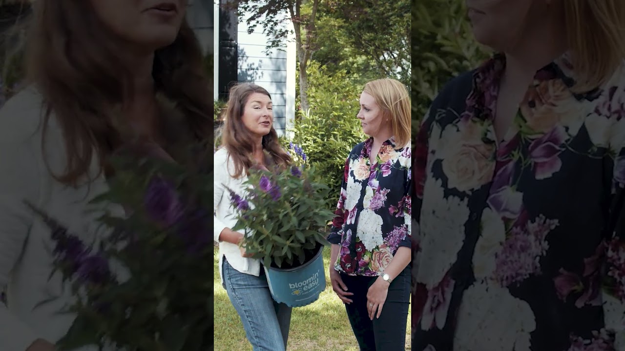Sharing our Birthday Cake with Brie The Plant Lady