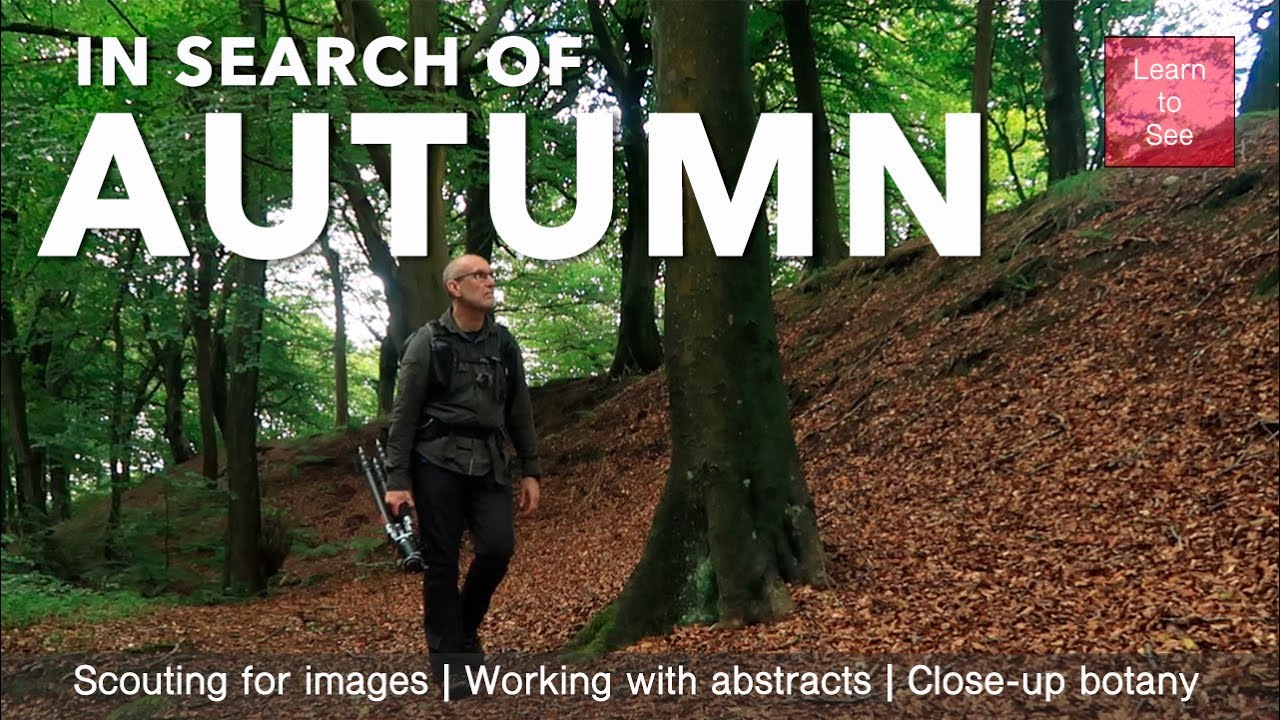 Searching for signs of Autumn