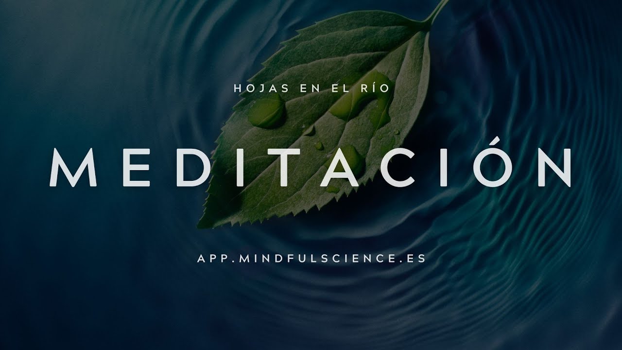 🍂MINDFULNESS: Hojas en el R&iacute;o- DEJA IR con cada hoja 💫 MINDFUL SCIENCE- INSPIRA A OTROS- VIVE SIMPLE