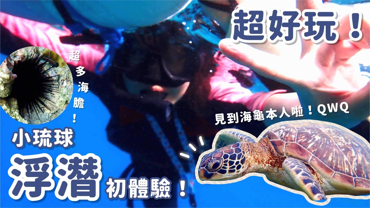 小琉球浮潛初體驗！我終於親眼見到海龜ㄌ⋯｜晨式語言