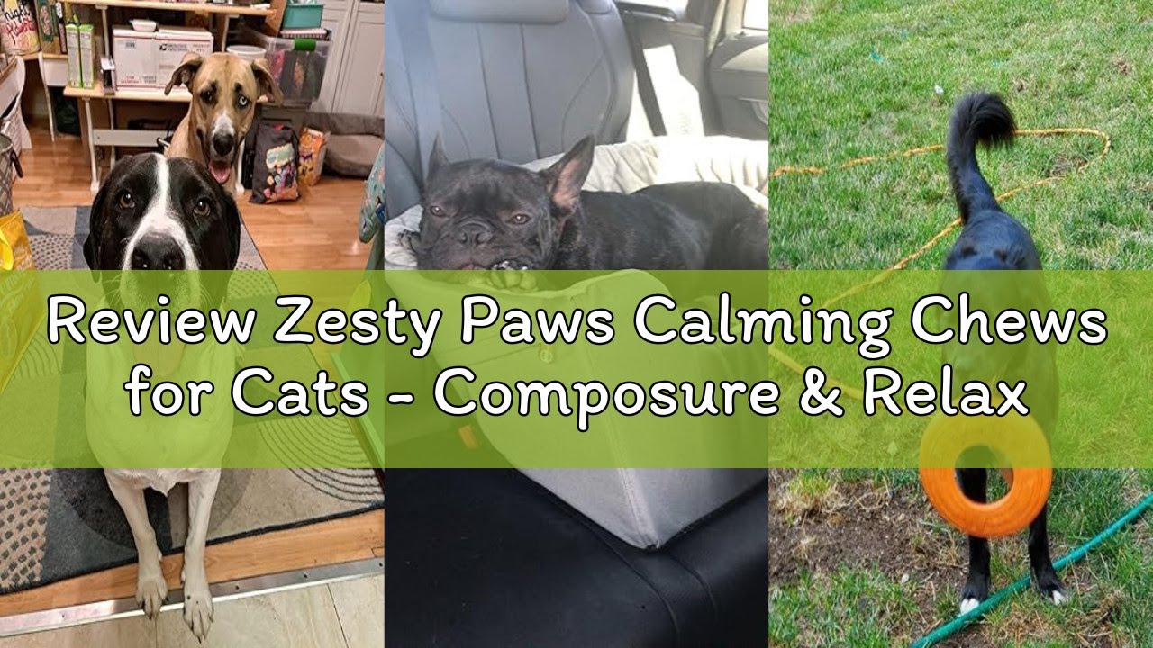 Review Zesty Paws Calming Chews for Cats - Composure & Relaxation for Everyday Stress & Separation -