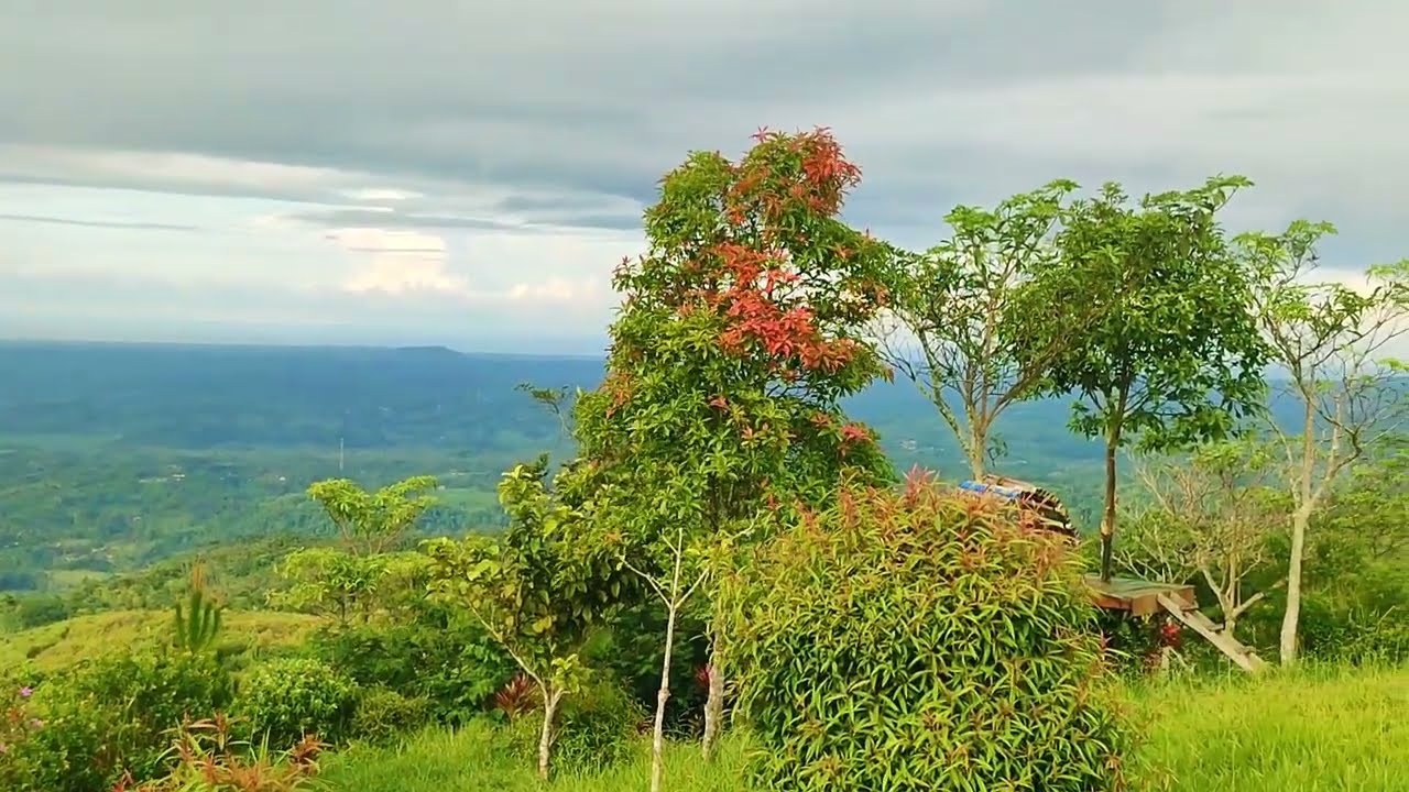 VIRALKAN❗NEGRI DI ATAS AWAN JAMPANG KULON🔴Panorama Alam PUNCAK BULUH🛑BIAR ORANG LAIN PADA TAU