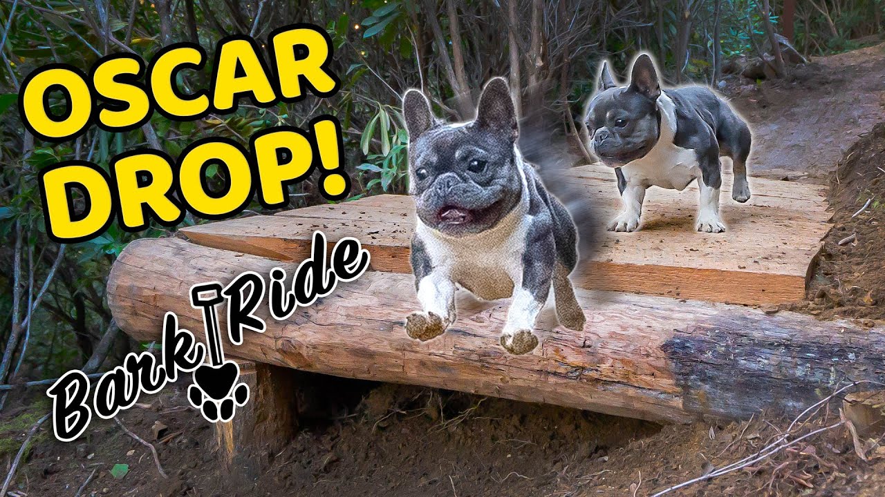 Building & Riding the Backyard Oscar Drop