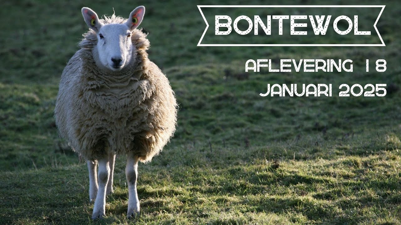 Bontewol afl. 18, januari 2025