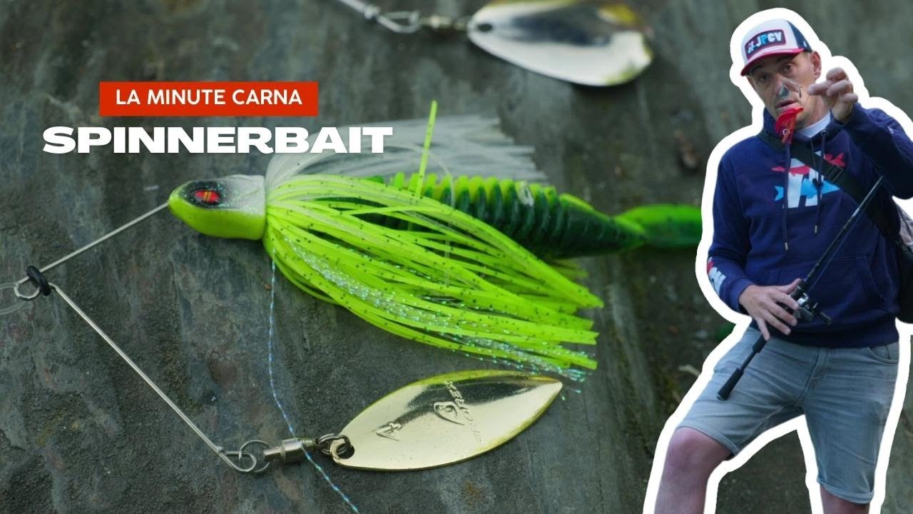 Tuto pêche : tout savoir sur le spinnerbait - La Minute Carna