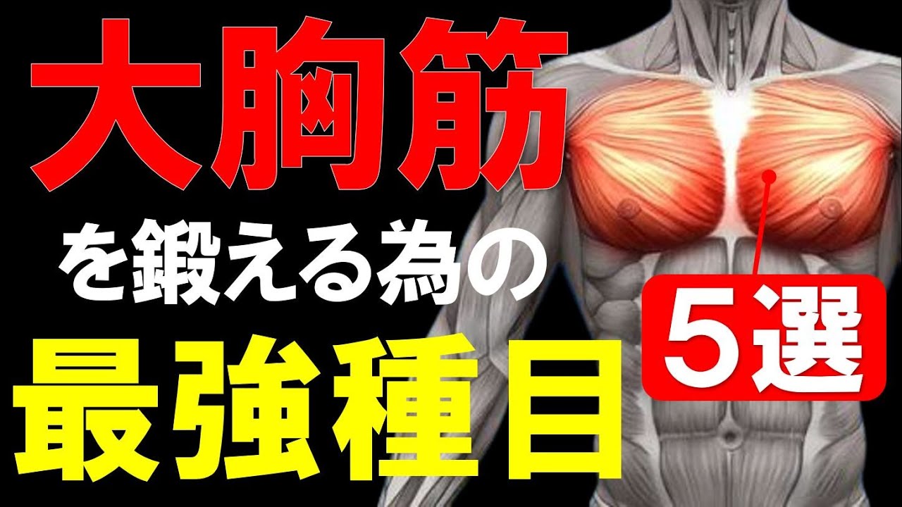 【筋トレ科学】筋トレ1年目に知りたい大胸筋の科学的トレーニング5種目　~小手先のテクニックは不必要~