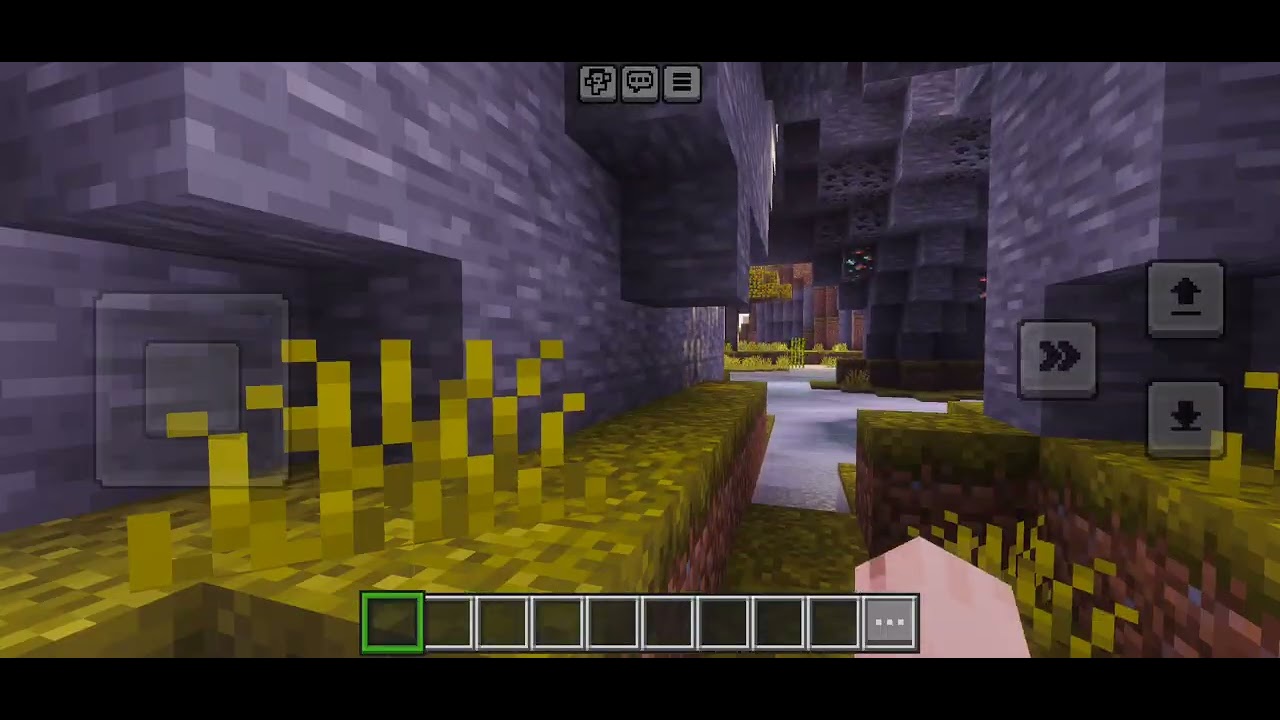 Minecraft Prizma Visuals + Action & Stuffs