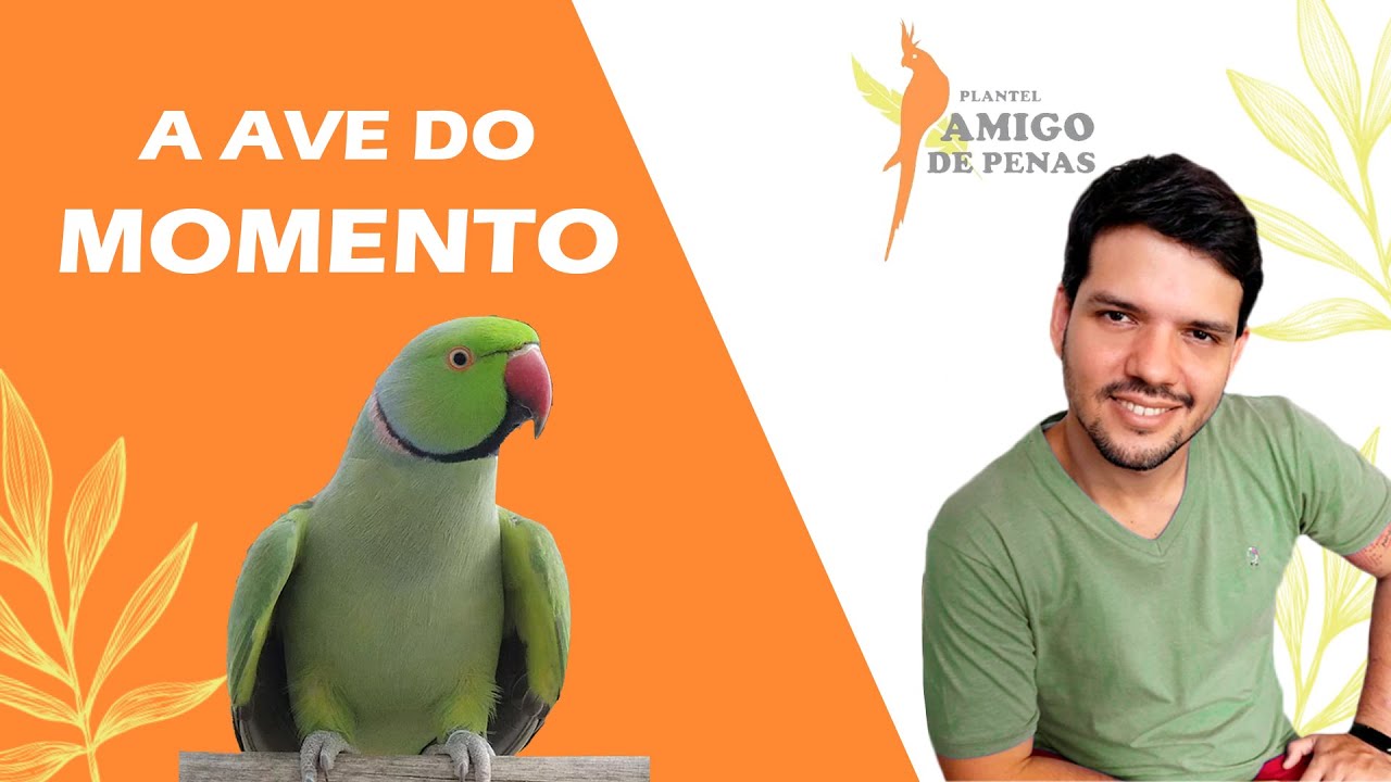 Ring Neck, a ave mais desejada!