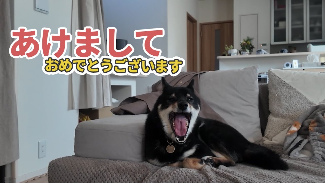 2026年もよろしくおねがいします！