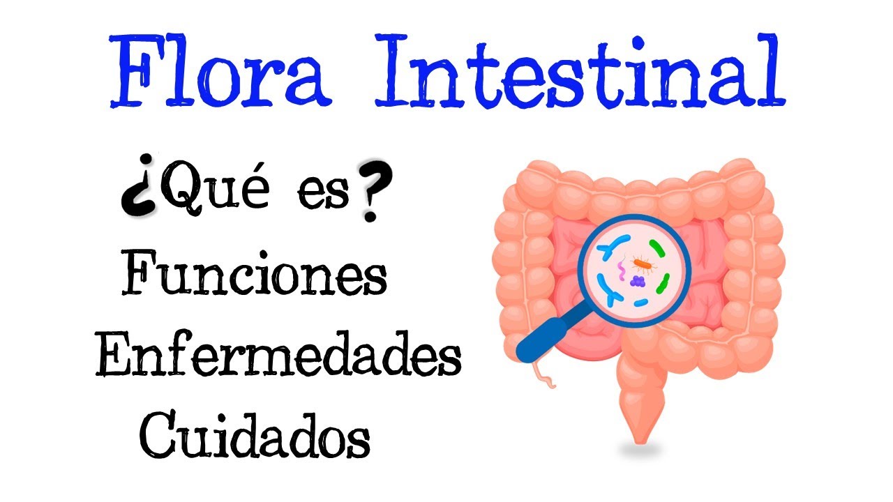 🦠 &iquest;Qu&eacute; es la Flora Intestinal? 🦠 Funciones 💥 Enfermedades 💥 Cuidados 🧫 [F&aacute;cil y R&aacute;pido] | BIOLOG&Iacute;A |