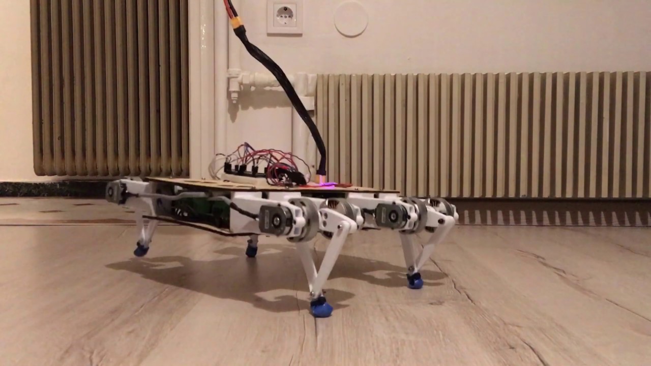Brushless Quadruped Robot – First Steps