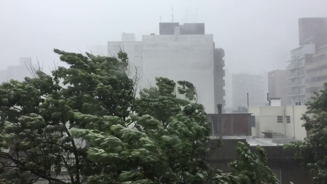 Downburst during a thunderstorm