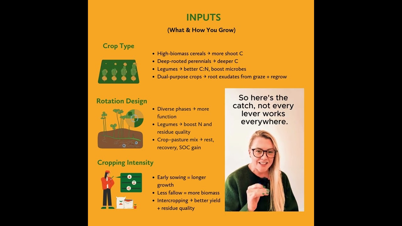 Building Soil Organic Carbon in Dryland Agriculture