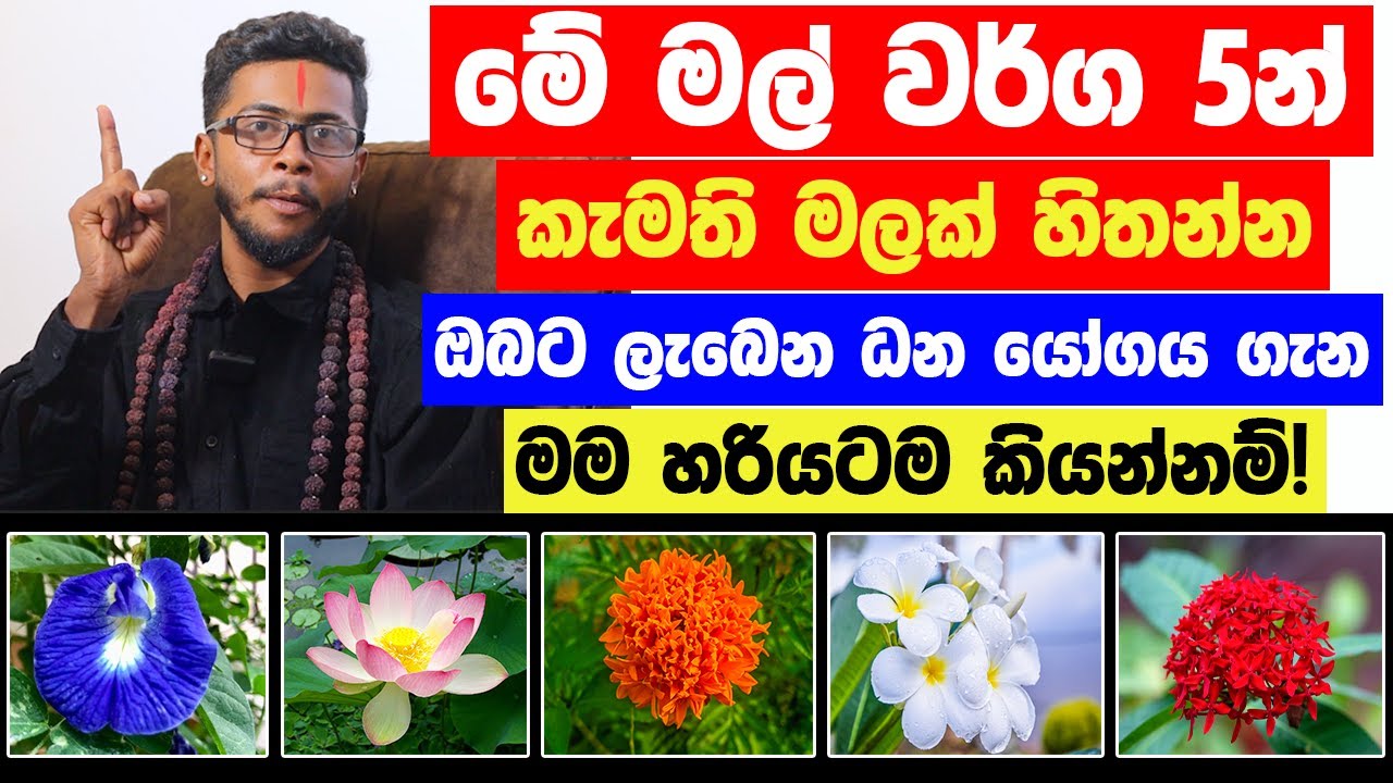 මේ මල් වර්ග 5න් ඔයා තෝරාගන්නා මල අනුව..ලගදීම ඔබට ලැබෙන ධන යෝගය ගැන මම හරියටම කියන්නම්!!