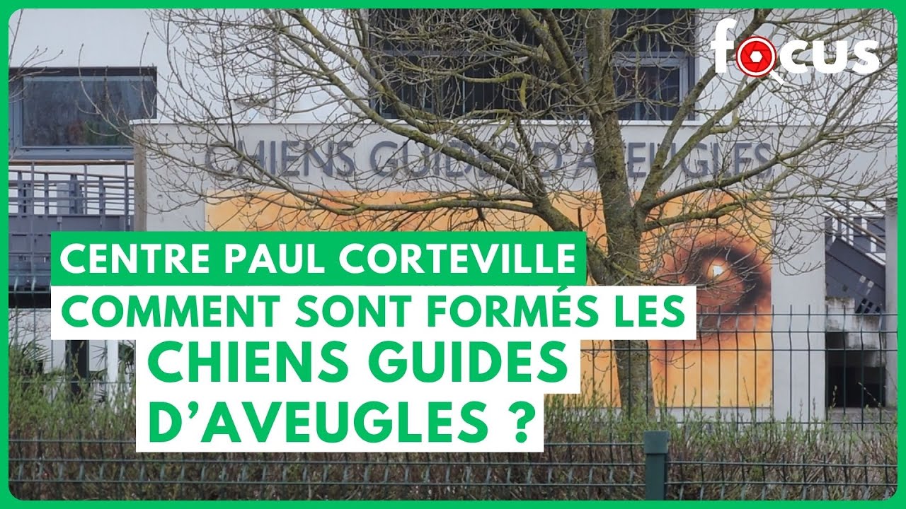 Reportage sur le Centre Paul Corteville, formant les chiens guides d'aveugle