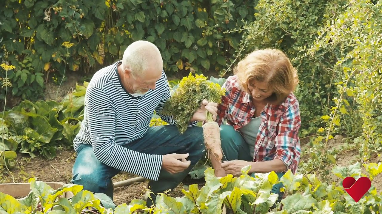 Life Enrichment Activities Program (LEAP)
