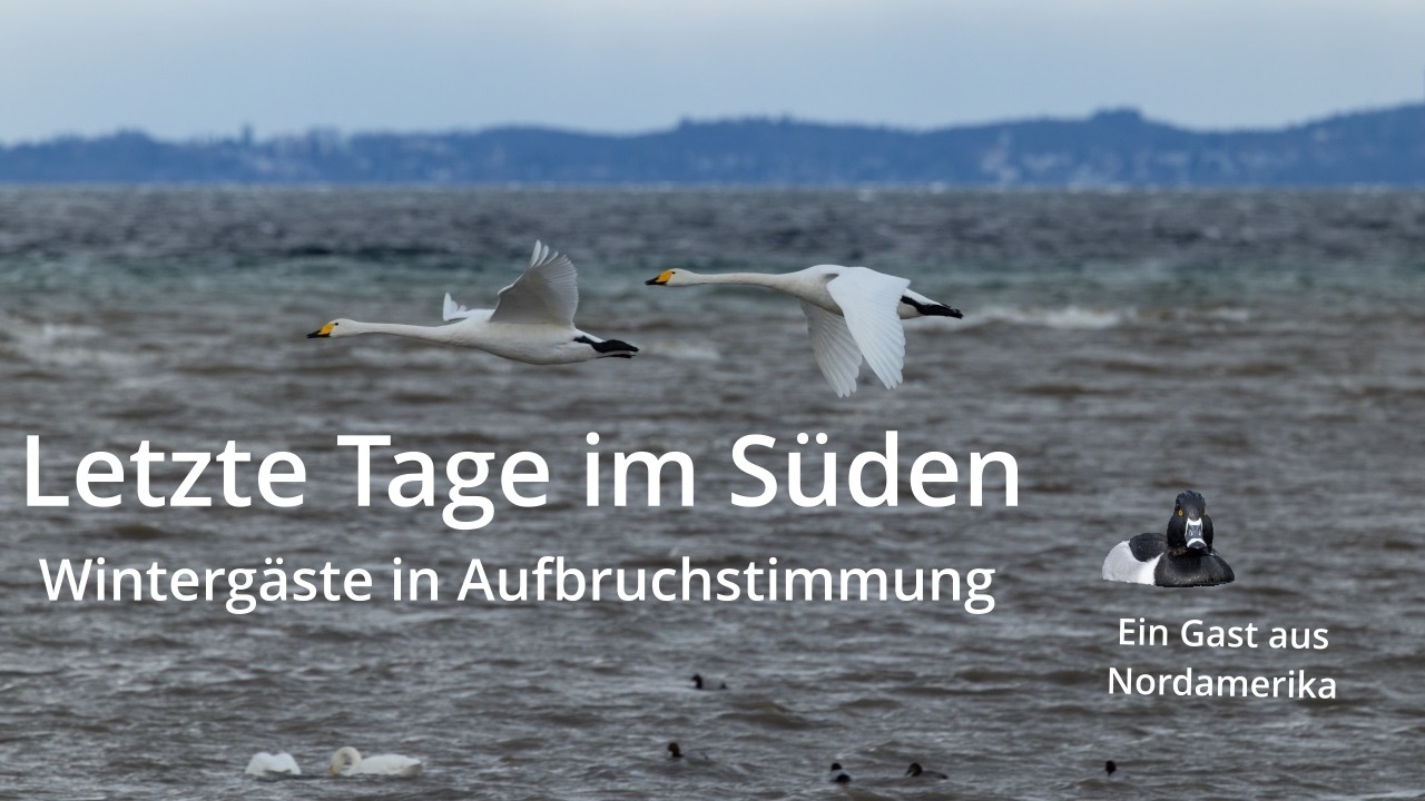 Letzte Tage im Süden