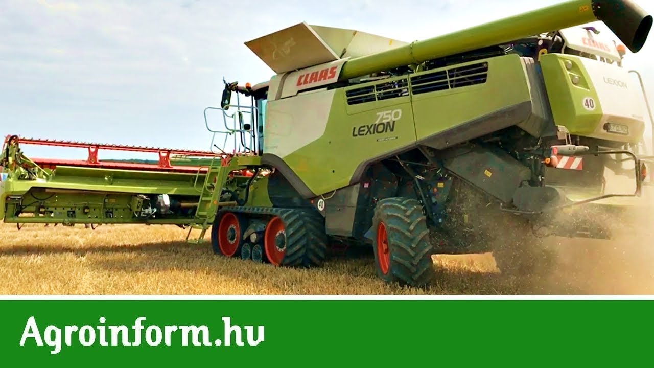 Így lehet akár 800 kg-mal NAGYOBB a búza TERMÉS hektáronként!