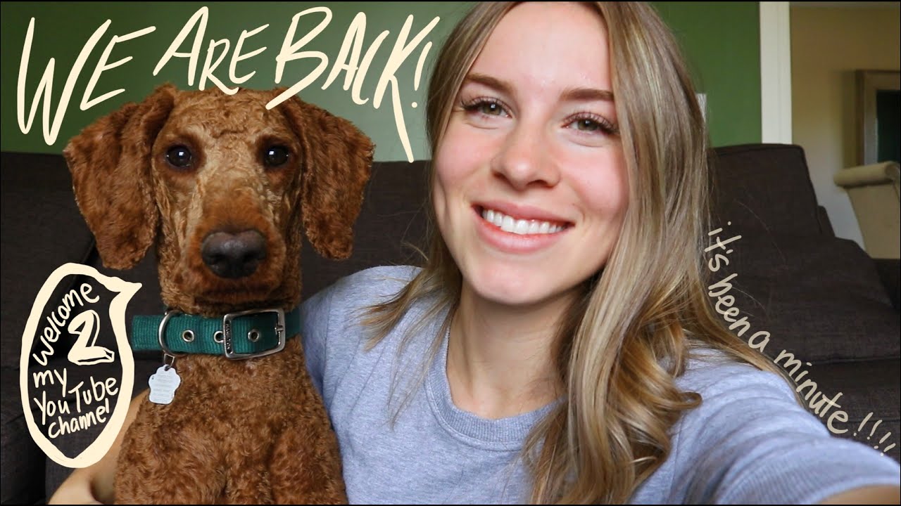Break from YouTube has ended.
