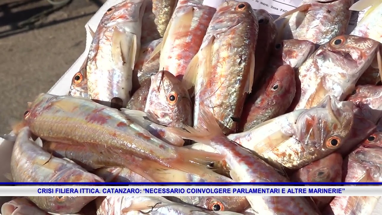 CRISI FILIERA ITTICA  CATANZARO “NECESSARIO COINVOLGERE PARLAMENTARI E ALTRE MARINERIE”