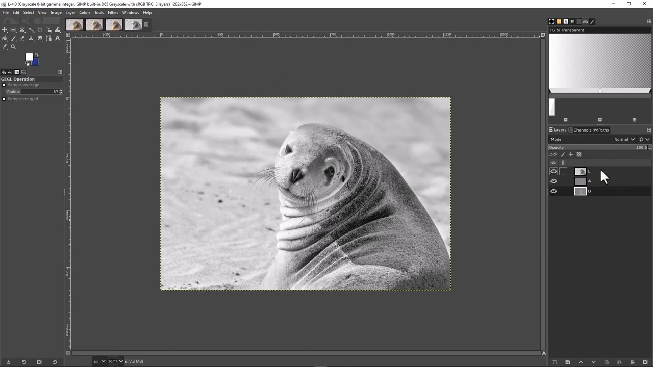 Sharpen an Image With GIMP: Two Methods Demonstrated