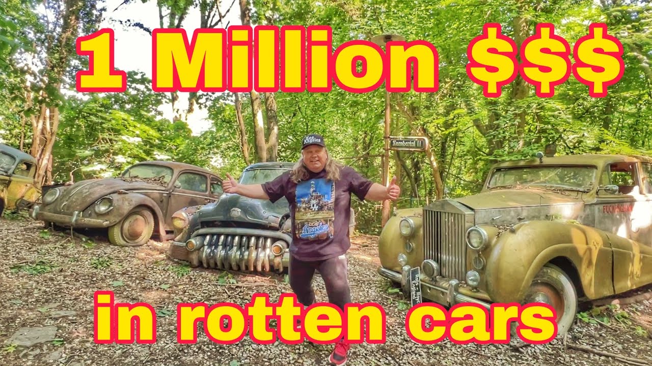 Million Dollars car graveyard  Auto Skulpturen Park Neandertal Michael Froehlich