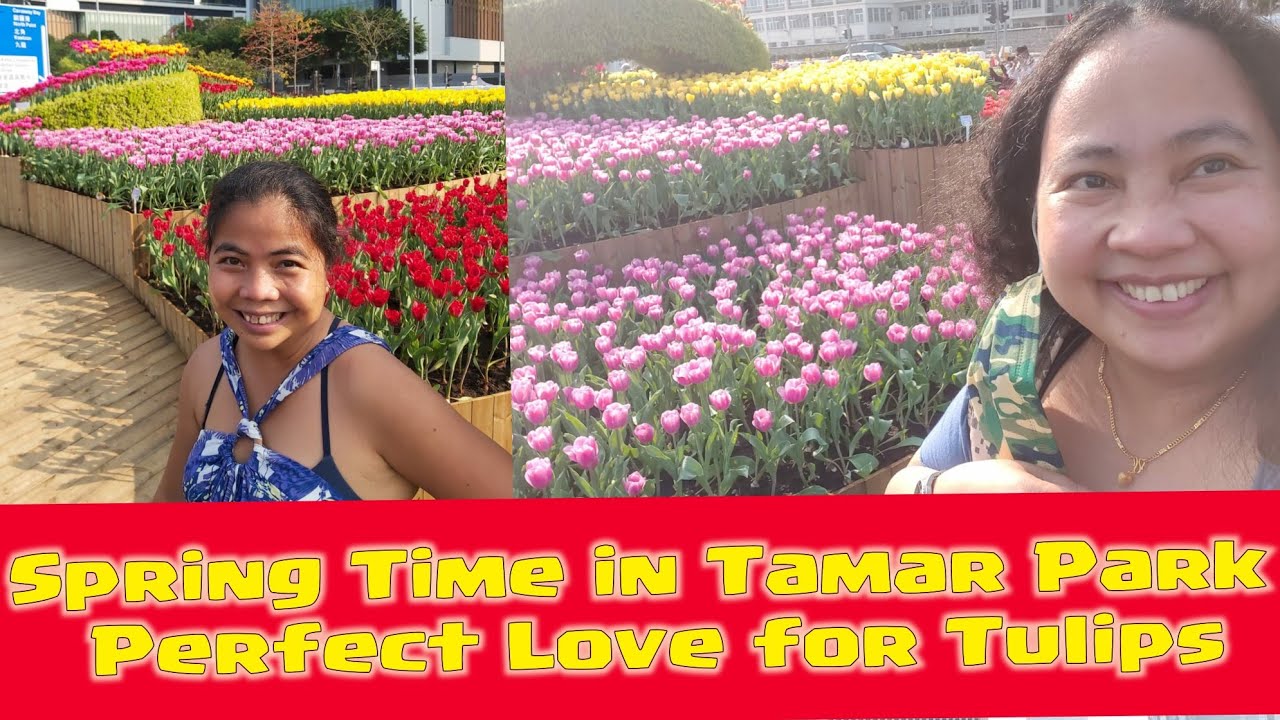 Spring Time in Tamar Park Perfect Love for Tulips