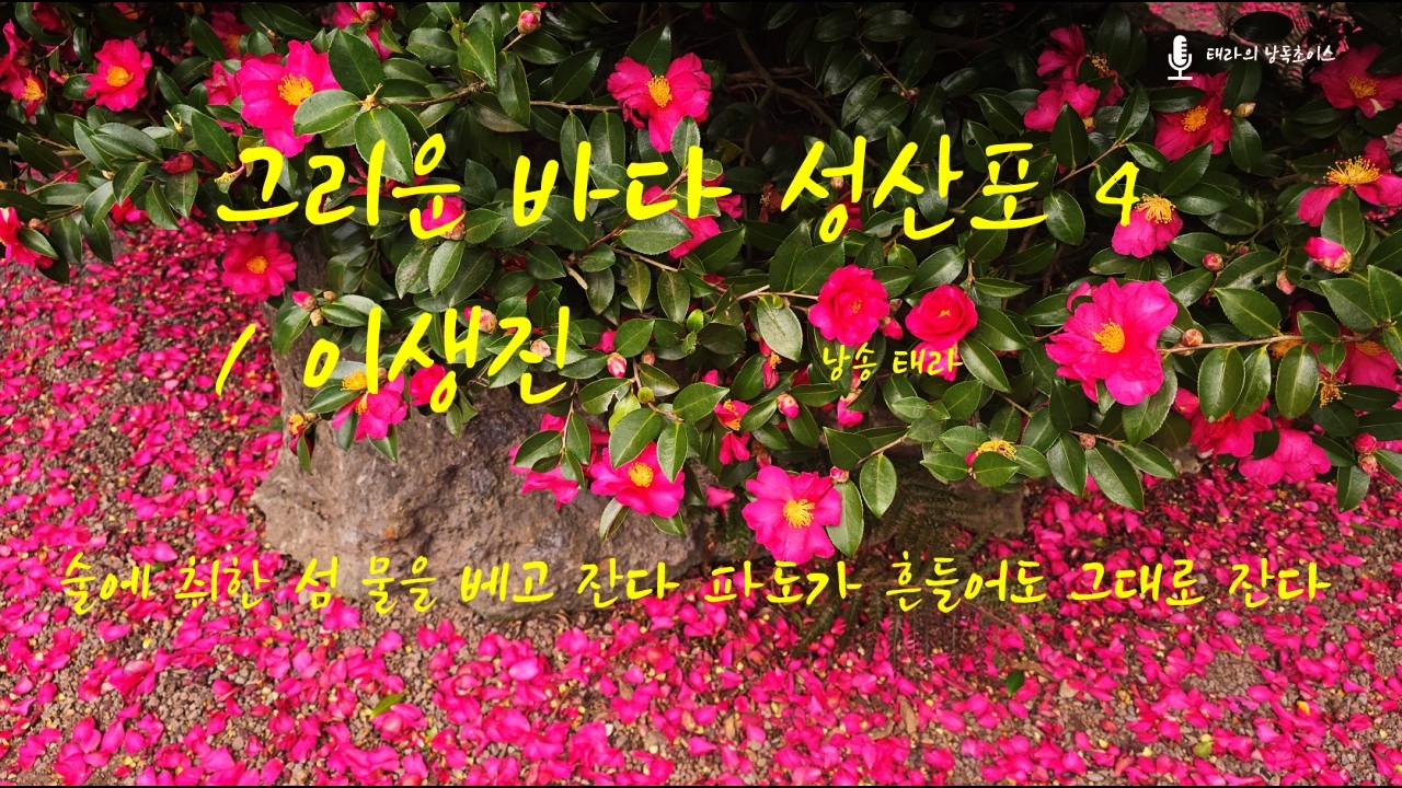 바다를 베고 잔다 / 그리운 바다 성산포 4 / 낭송 태라이선옥
