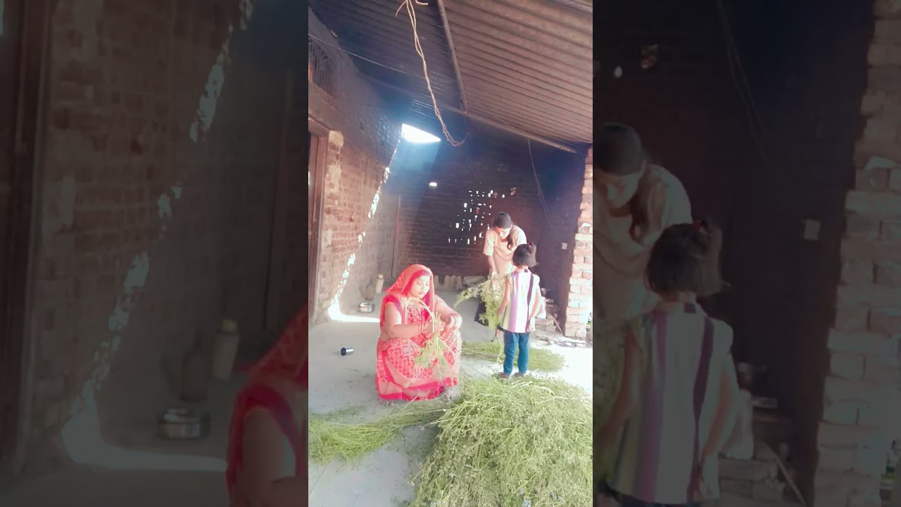 #song देवासीमिश्रा शॉर्ट वीडियो 😄😄😄 साधना मिश्रा अवधी गीत गमला राजा घाम लगता