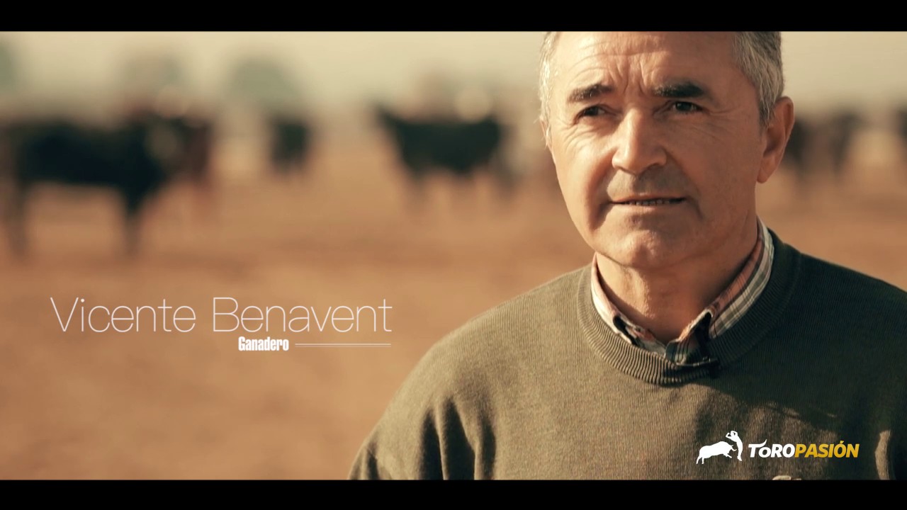 Pintora de Benavent en La Vaca del Millón - Fallas 2019