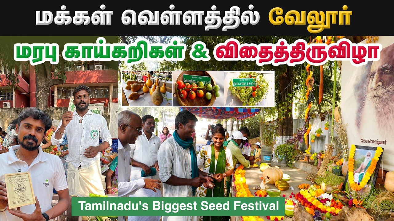 வேலூர் விதைத்திருவிழா 2026 🌱 | நாட்டு விதைகள் இலவசமாக பகிர்வு! | Seed Festival Tamil