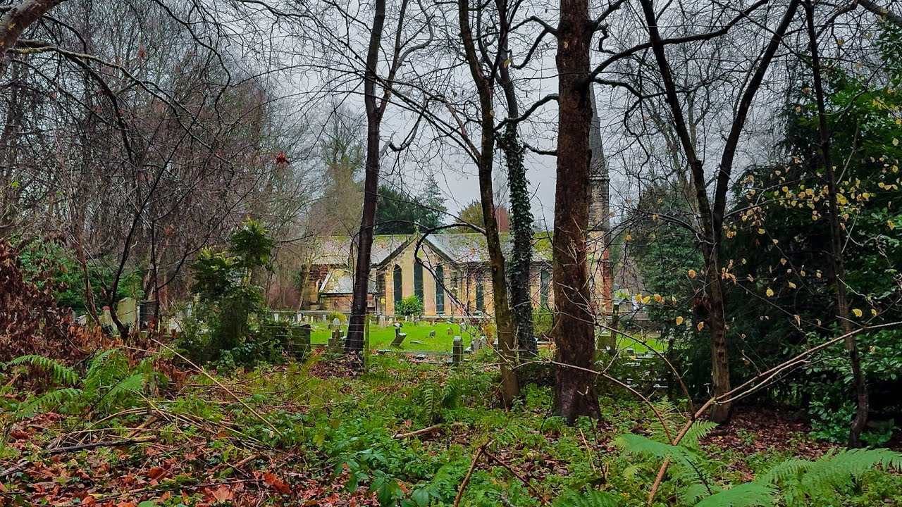 Woodland Rain Walk Past a Hidden Churchyard | No Talking, Just Ambience