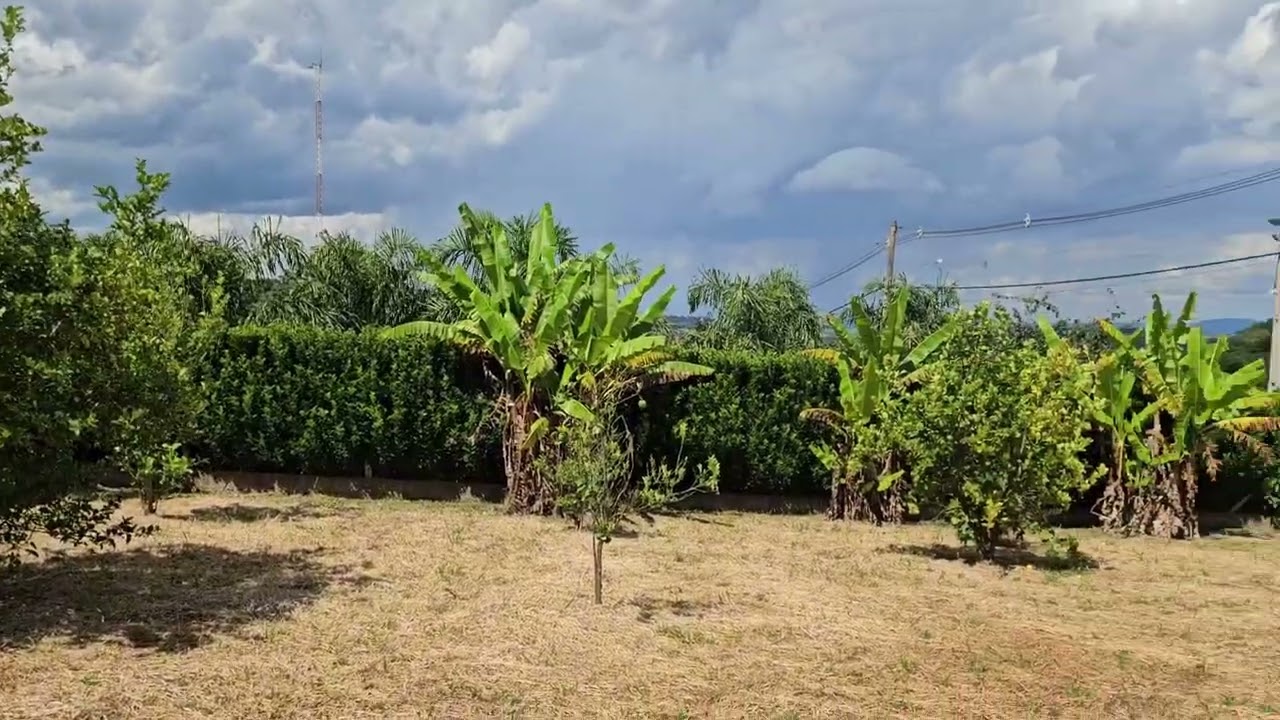 lv 0 20260306114845
