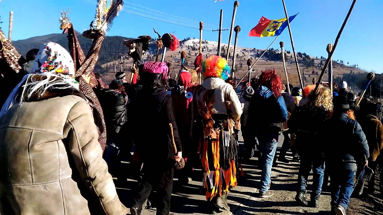 Capra din Mãdei 2015 - 1.0 - Borca